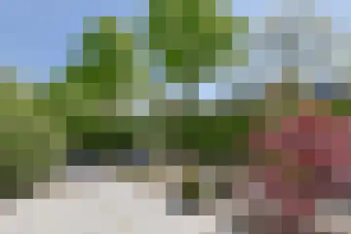 Hoogmadeseweg 41 G Leiderdorp thumbnail 6
