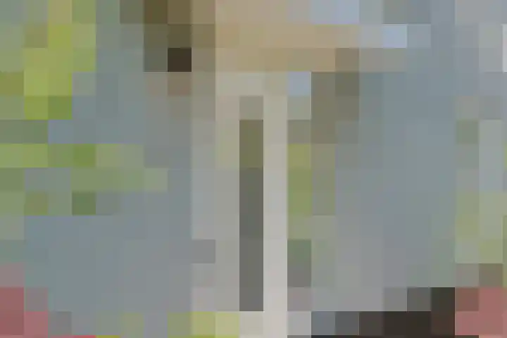 Hoogmadeseweg 41 G Leiderdorp thumbnail 8