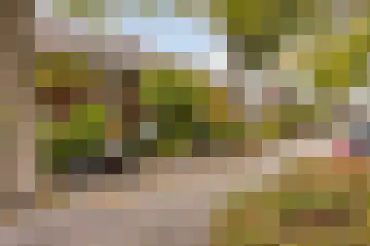 Hoogmadeseweg 52 Leiderdorp thumbnail 10