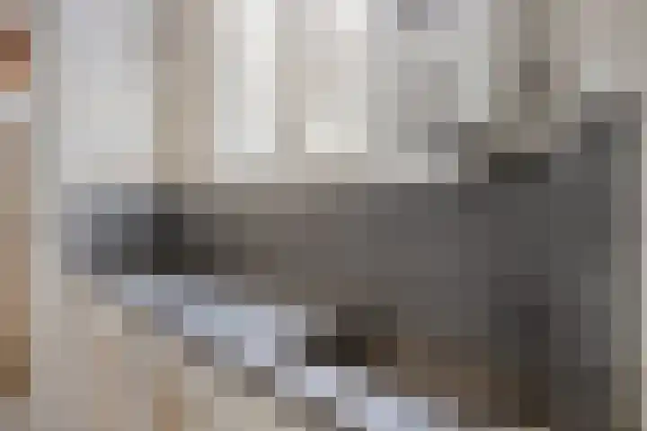 Hoogmadeseweg 52 Leiderdorp thumbnail 23
