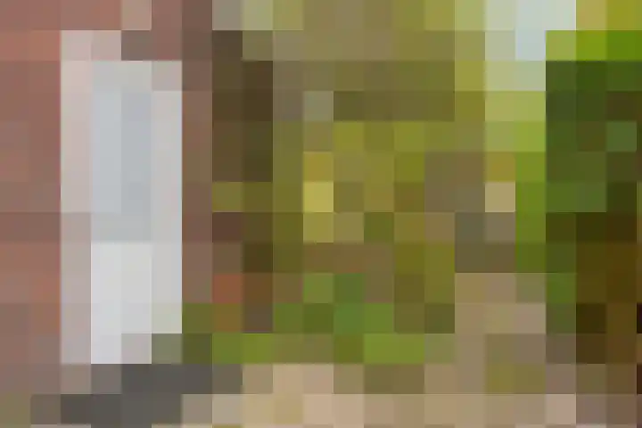 Hoogmadeseweg 52 Leiderdorp thumbnail 26