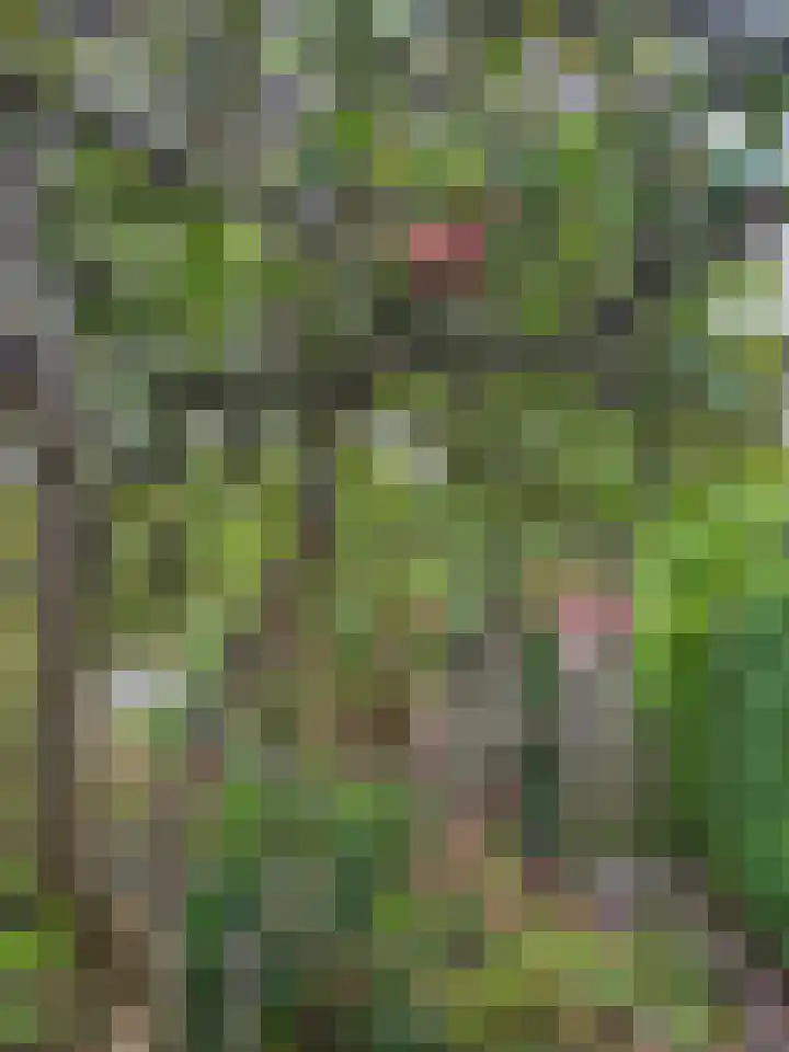 Hoogmadeseweg 52 Leiderdorp thumbnail 27