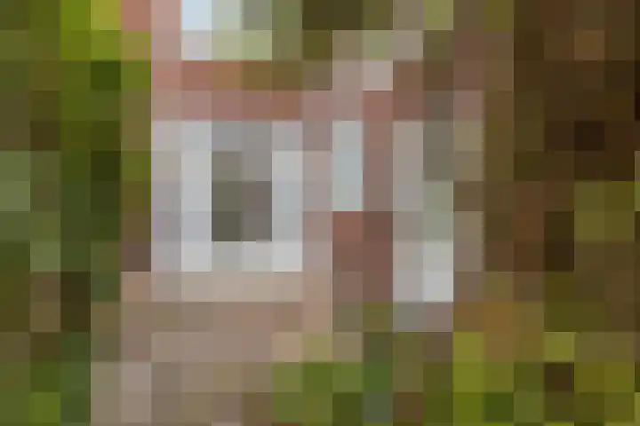 Hoogmadeseweg 52 Leiderdorp thumbnail 28