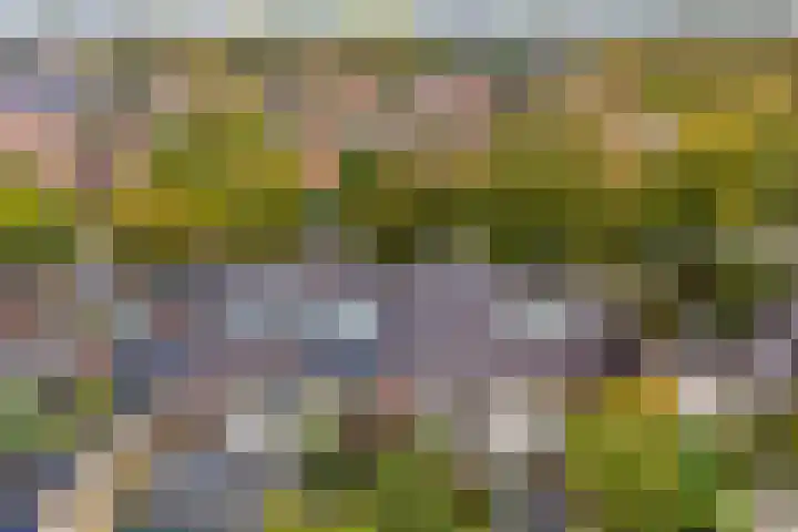 Hoogmadeseweg 52 Leiderdorp thumbnail 30