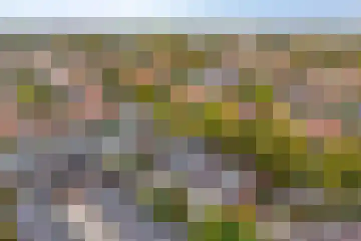 Hoogmadeseweg 52 Leiderdorp thumbnail 31