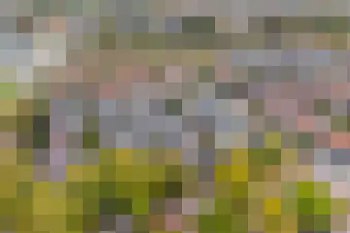 Hoogmadeseweg 52 Leiderdorp thumbnail 32