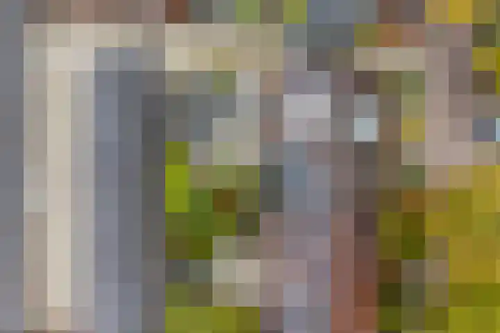 Hoogmadeseweg 52 Leiderdorp thumbnail 33