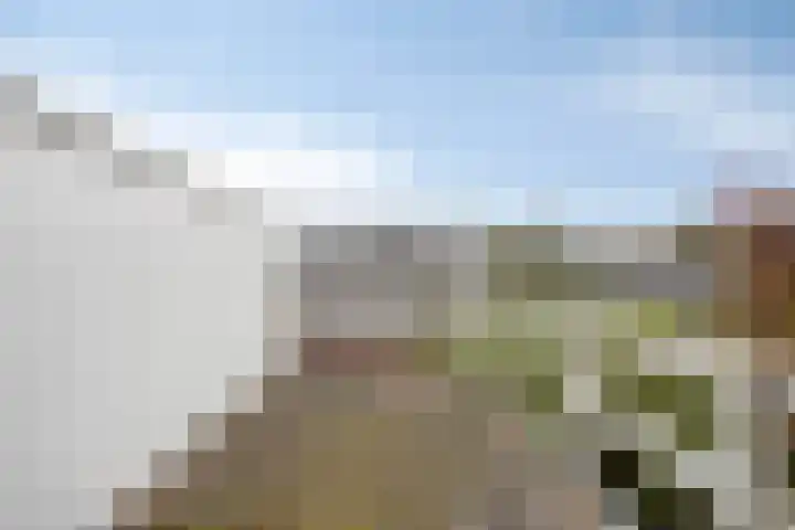 Hoogmadeseweg 52 Leiderdorp thumbnail 43