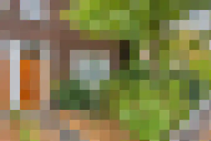 Hoogmadeseweg 52 Leiderdorp thumbnail 6