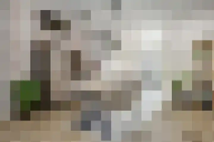 Hoogmeer 1208 Wijchen thumbnail 12