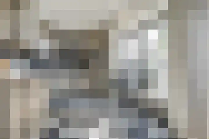 Hoogmeer 1208 Wijchen thumbnail 13