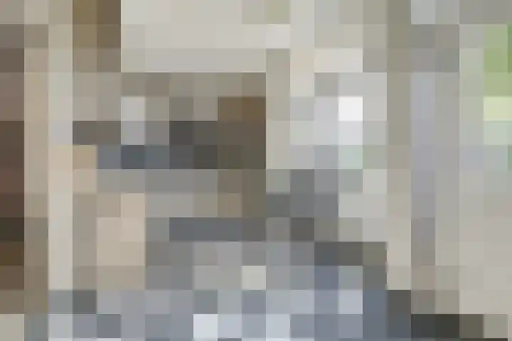 Hoogmeer 1208 Wijchen thumbnail 14
