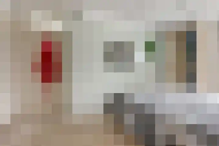 Hoogmeer 1208 Wijchen thumbnail 19