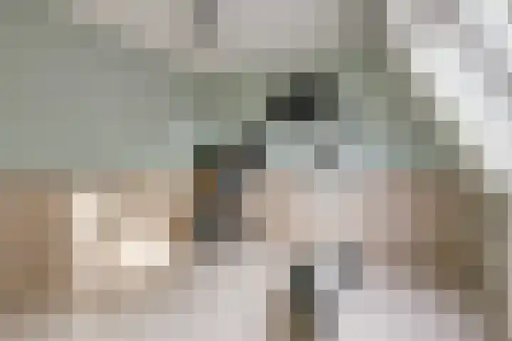 Hoogmeer 1208 Wijchen thumbnail 25
