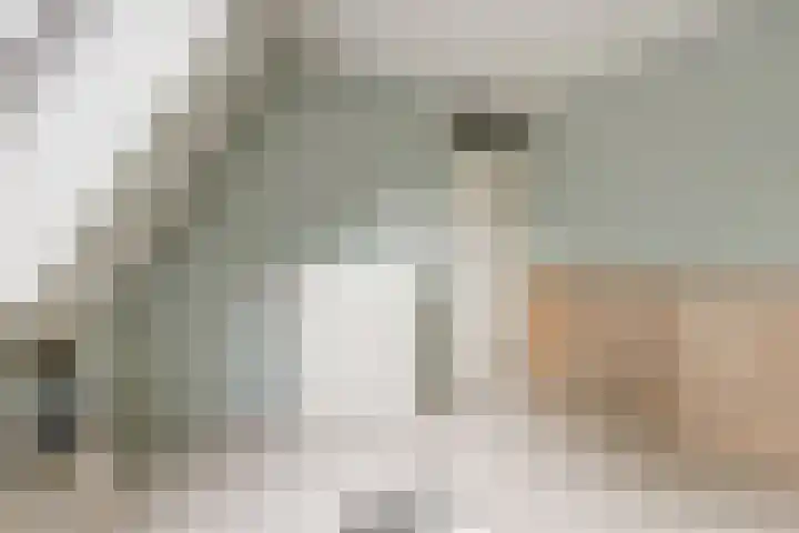 Hoogmeer 1208 Wijchen thumbnail 26