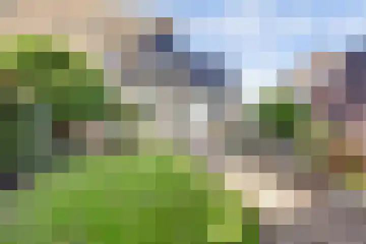Hoogmeer 1208 Wijchen thumbnail 34