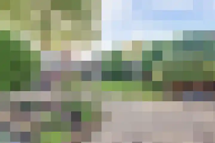 Hoogmeer 1208 Wijchen thumbnail 36