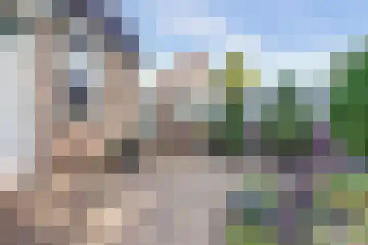 Hoogmeer 1208 Wijchen thumbnail 37