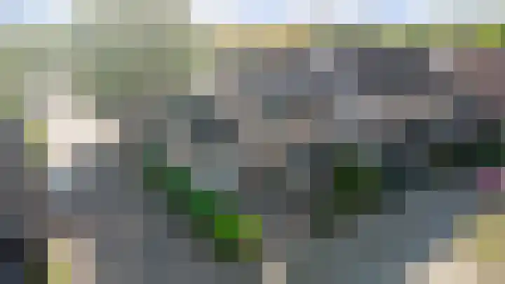 Hoogmeer 1208 Wijchen thumbnail 38
