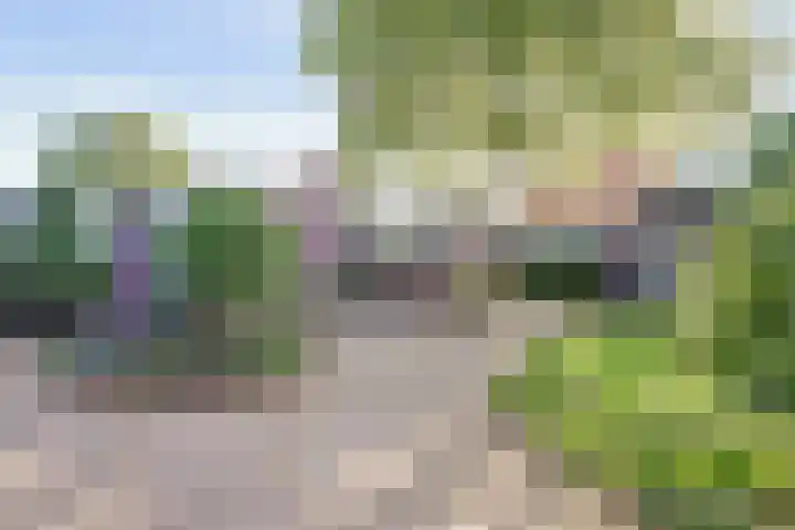 Hoogmeer 1208 Wijchen thumbnail 4