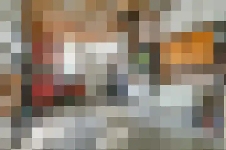 Hoogmeer 1208 Wijchen thumbnail 41