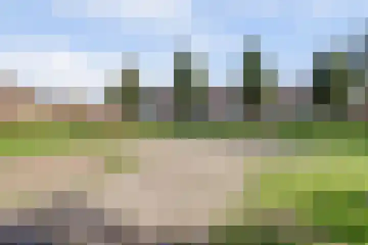 Hoogmeer 1208 Wijchen thumbnail 43