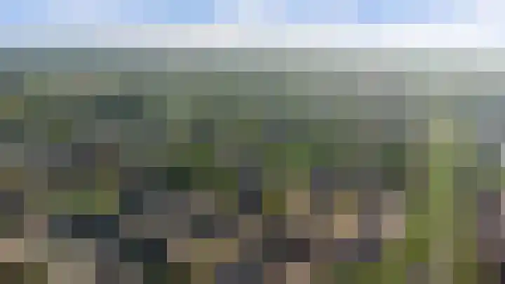 Hoogmeer 1208 Wijchen thumbnail 44