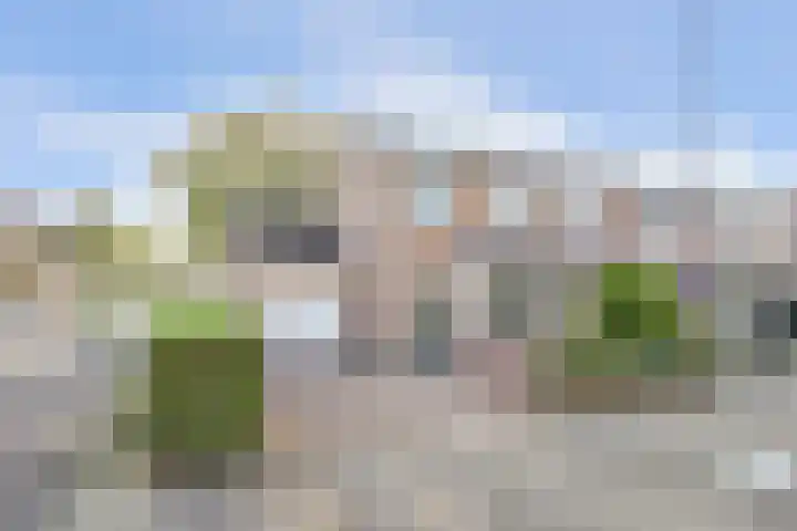 Hoogmeer 1208 Wijchen thumbnail 6