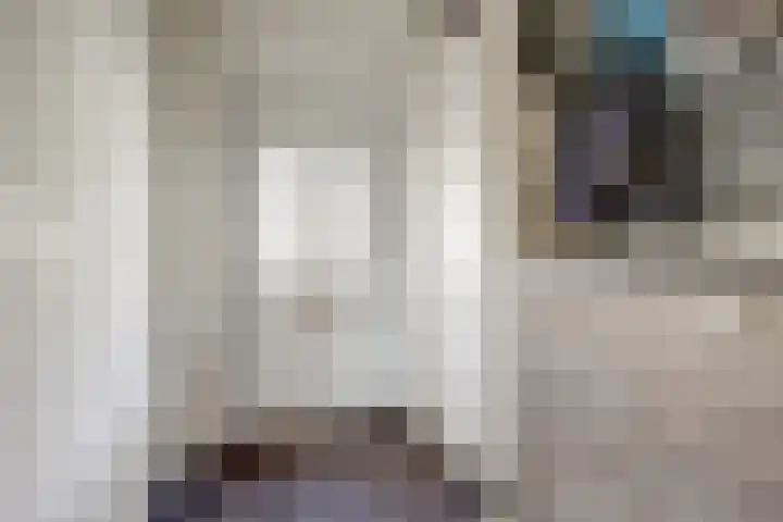 Hoogmeer 1208 Wijchen thumbnail 7