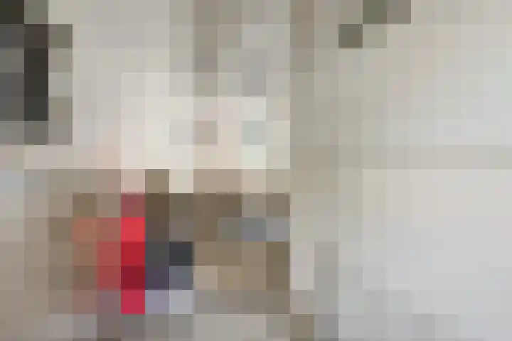 Hoogmeer 1208 Wijchen thumbnail 8