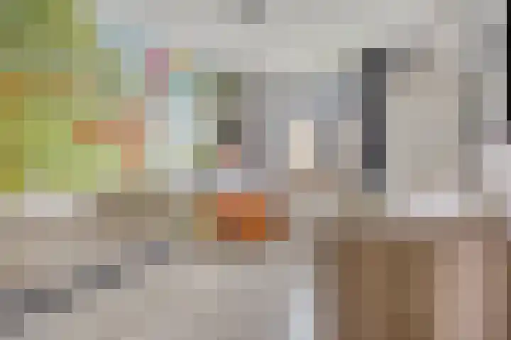 Hoogmeer 1346 Wijchen thumbnail 14