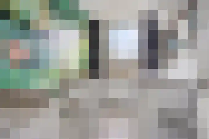 Hoogmeer 1346 Wijchen thumbnail 16