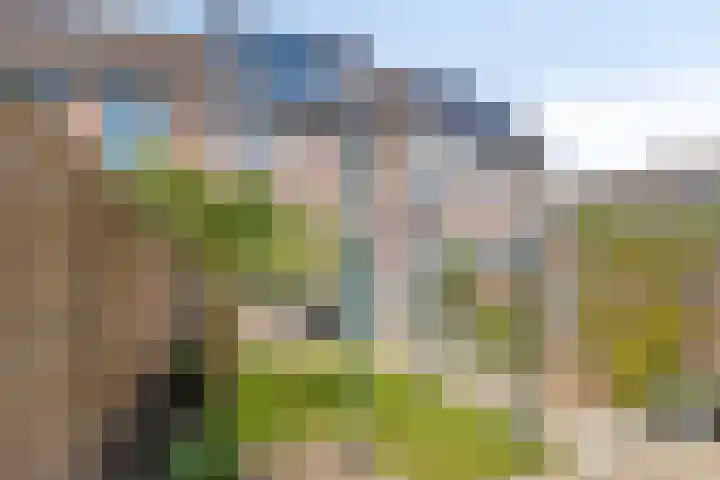 Hoogmeer 1346 Wijchen thumbnail 20