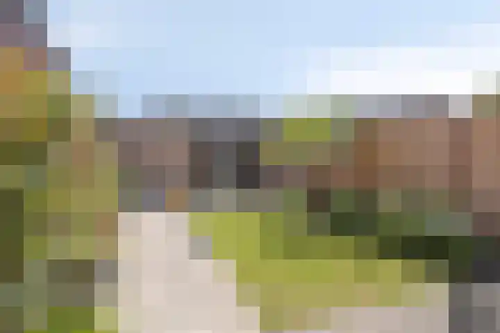 Hoogmeer 1346 Wijchen thumbnail 22