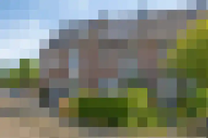 Hoogmeer 1346 Wijchen thumbnail 26