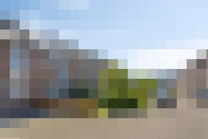 Hoogmeer 1346 Wijchen thumbnail 28
