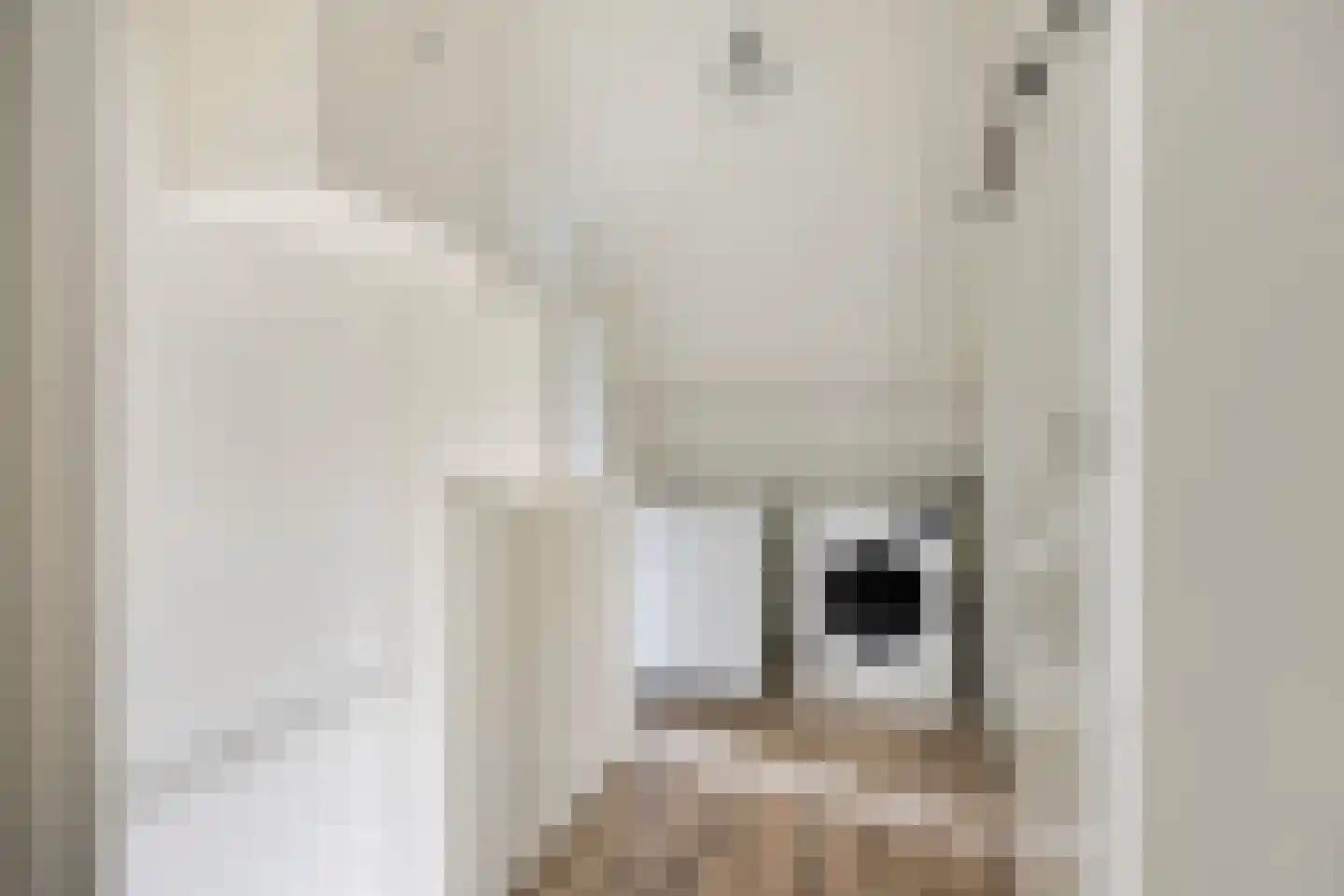 Hoogmeer 1417 Wijchen thumbnail 19