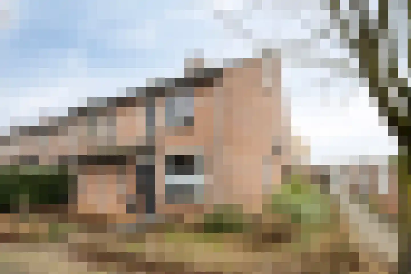Hoogmeer 1417 Wijchen thumbnail 28