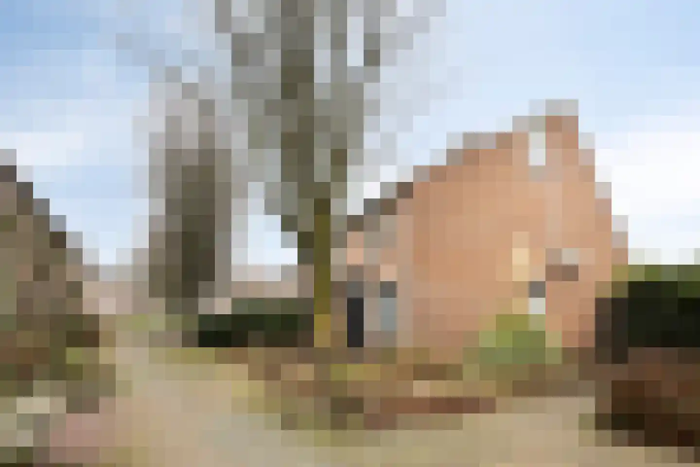 Hoogmeer 1417 Wijchen thumbnail 29