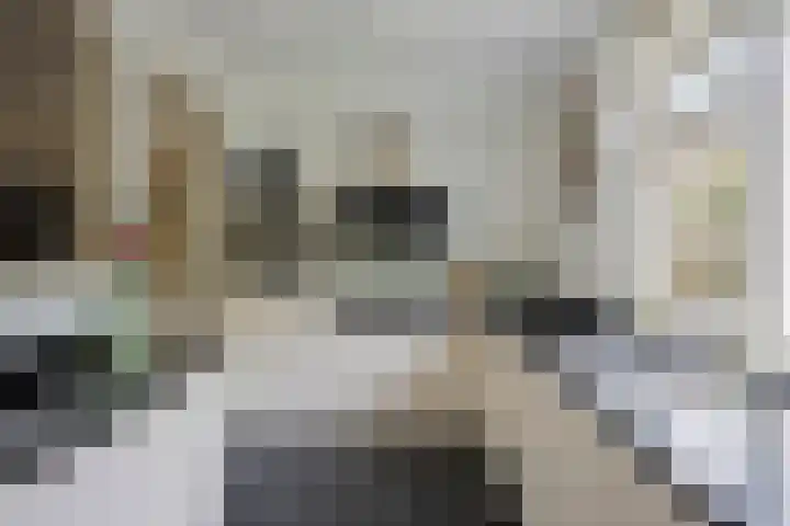Hoogmeer 1511 Wijchen thumbnail 11