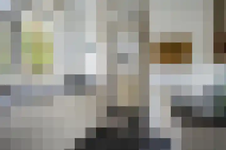 Hoogmeer 1511 Wijchen thumbnail 12
