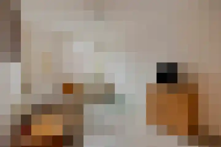 Hoogmeer 1511 Wijchen thumbnail 16