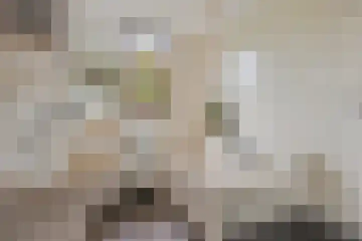 Hoogmeer 1511 Wijchen thumbnail 20