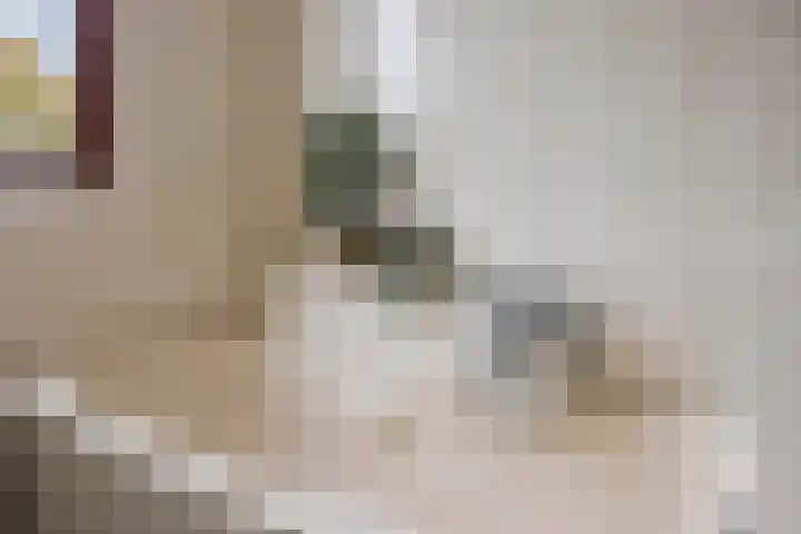 Hoogmeer 1511 Wijchen thumbnail 21