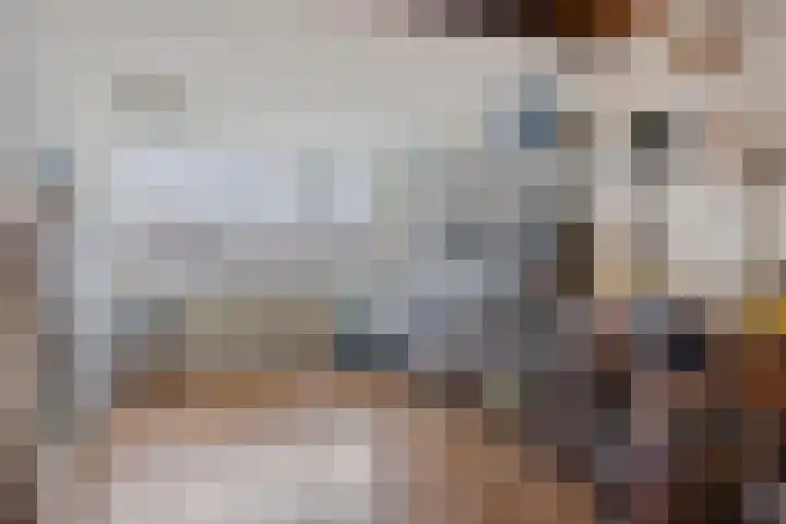 Hoogmeer 1511 Wijchen thumbnail 24