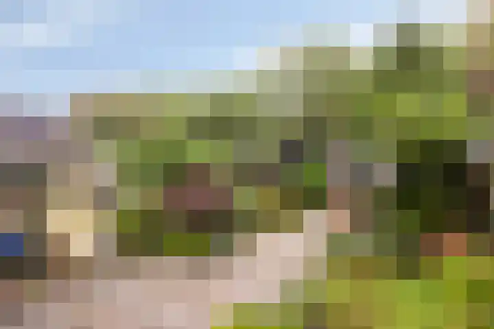 Hoogmeer 1511 Wijchen thumbnail 26