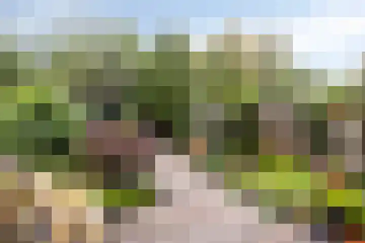 Hoogmeer 1511 Wijchen thumbnail 27