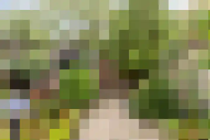 Hoogmeer 1511 Wijchen thumbnail 28