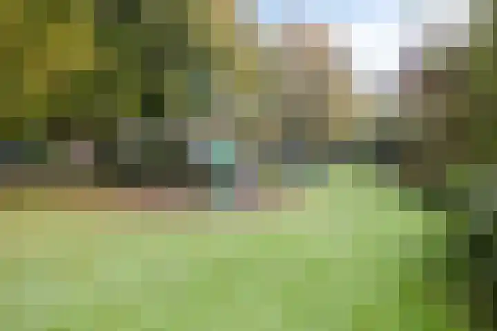 Hoogmeer 1511 Wijchen thumbnail 30