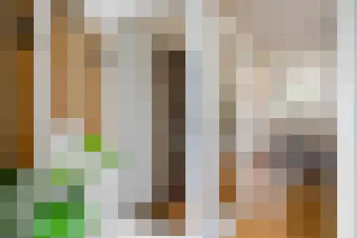Hoogmeer 1511 Wijchen thumbnail 5